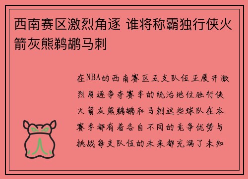 西南赛区激烈角逐 谁将称霸独行侠火箭灰熊鹈鹕马刺